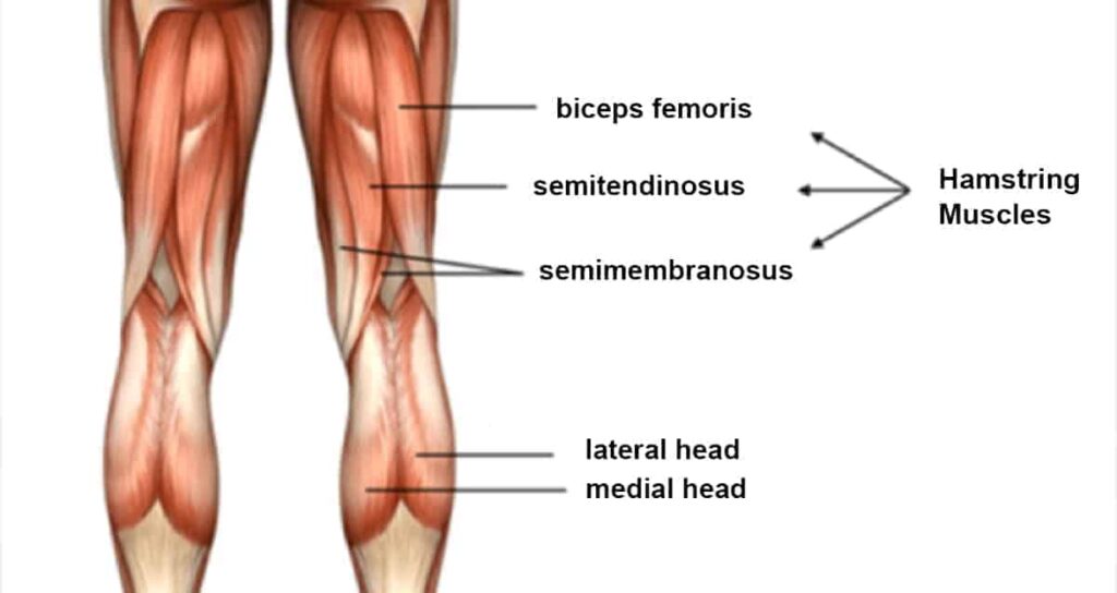 Importance of Hamstring Flexibility in the Golf Swing