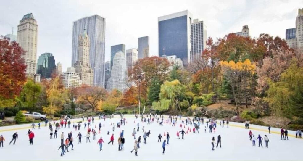 Take a Trip to Central Park! 
